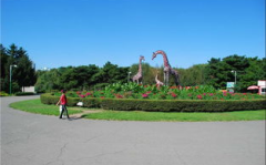 动植物公园,自然生态的都市绿洲之旅